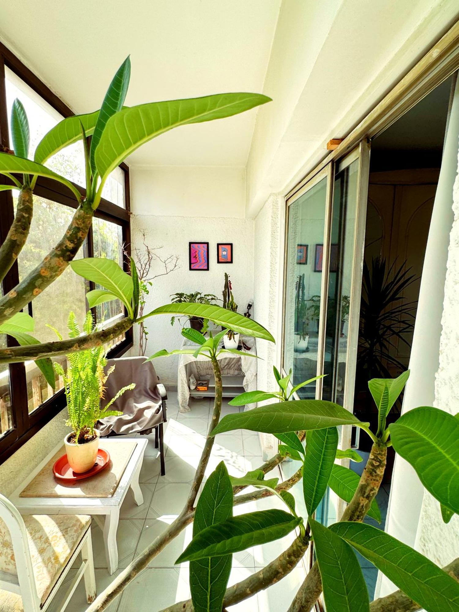 Large Room With Its Own Balcony Il Il Cairo Esterno foto